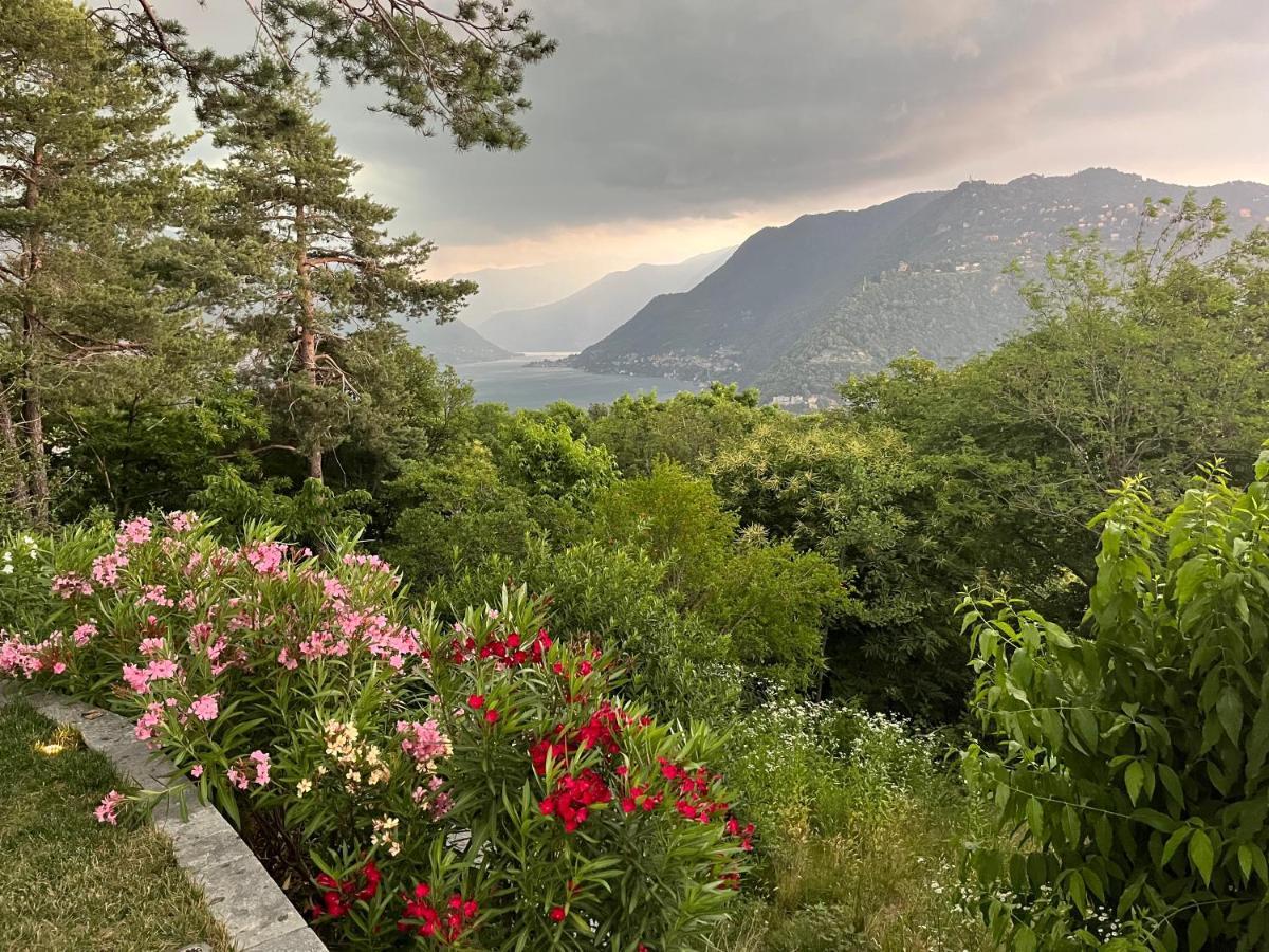 Studio - Villa Cardano Como Exterior photo